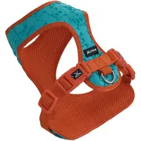 Nayeco Harnais Pour Chien 3d Skulls