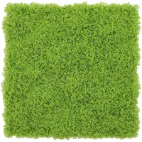 Wellhome Panneau De Haie De Jardin Vertical Artificiel Pour Décoration Intérieure Et Extérieure En Vert Luxuriant Et Réaliste 100x100cm