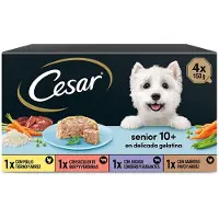 Cesar Multipack De Pâtée Pour Chien Senior 6x4x150g