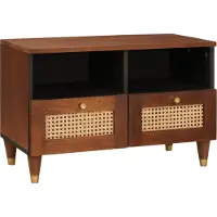 vidaXL Armoire TV avec étagère Marron 70 x 33,5 x 46 cm Bois massif Mango