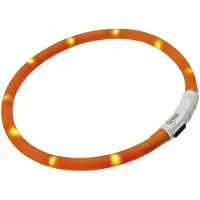 Ferplast Collier De Chien Night Over