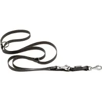 Ferplast Laisse Pour Chien Evolutionga 16 Mm