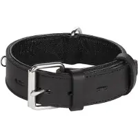 Flamingo Rondo Riveted Dog Collar Noir 70 cm x 40 mm