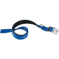 Ferplast Nylon Daytona C 40 Mm 63 Cm Dog Collar Bleu