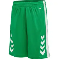 Hummel Pantalon de sport 'Core XK' vert clair / blanc