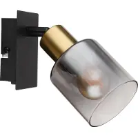 Globo Lampe murale Hollsy noir avec verre fumé