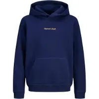Jack & Jones Norrebro Emb Sweat Hoodie Junior