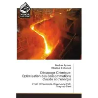 Noor Publishing Décapage Chimique: Optimisation des consommations d'acide et d'énergie