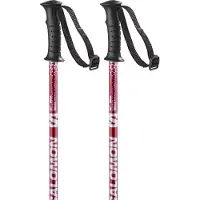 Salomon Anodized Junior Poles Vert 85 cm Garçons,Filles