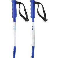 Salomon Bâtons Junior S/race Sg