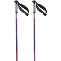 Salomon Bâtons Arctic S3 Xl
