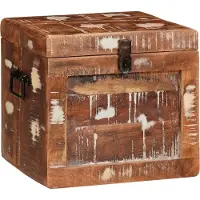 vidaXL Boîte de rangement avec stockage avec porte Marron Bois massif Mango