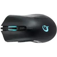 QPAD DX-120 RGB Gaming Mouse, souris optique avec capteur optique pour les jeux FPS, 12 000 DPI, éclairage LED, filaire (Wired), USB, noir
