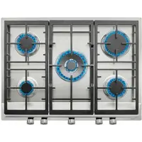 Teka EX 70.1 5G AI AL DR CI, en acier inoxydable, encastrable, 68 cm, table de cuisson à gaz, en acier inoxydable, 5 zones de cuisson