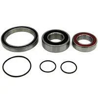 BLACK BEARING Roulements Perline/cx