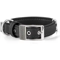 My Family Collier De Chien Bilbao