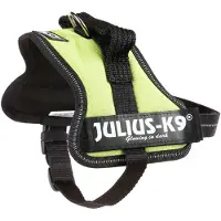 JULIUS K-9 Harnais Pour Chien Power