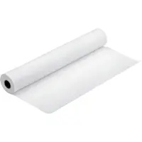 Epson S042081 Rouleau 61cm x 305m Premium lustré