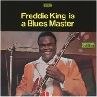 Freddie king is a blues master/ed limitee