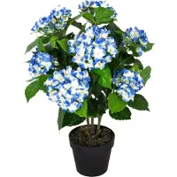 Homescapes Hortensia artificiel bleu en pot, 70 cm