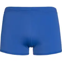 Protest Carst Swimming Boxer Bleu 3XL Homme