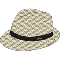 Protest Hat Marron