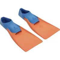 Fashy Palmes