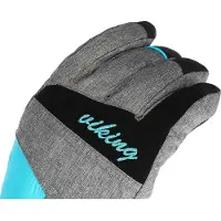 Viking Sports 7