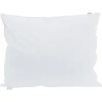 vidaXL Oreiller avec oreiller 2 pcs Blanc 40 x 60 cm Coton