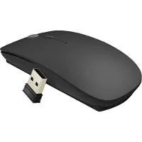 Wiwu - Souris sans fil WiMiCE Lite 2.4G WM101-C - noir