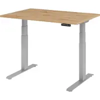 Hammerbacher Bureau réglable en hauteur XDKB | 2-moteurs | 120 - 180 cm | électrique, Dimension plateau:120 x 80 cm, Couleur plateau:Chêne cendré, Couleur piétement:Argent