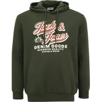 Jack & Jones Logo 2 Plus Size Hoodie Vert 3XL Homme