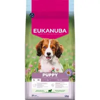 Eukanuba Puppy Small Medium à l'agneau & riz pour chien