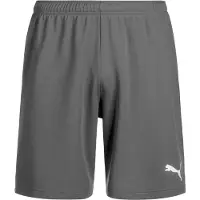 Puma short Teamrise Short Jr 704943 -13