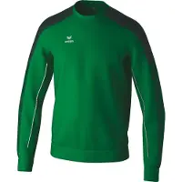 Erima Evo Star Sweatshirt Vert 2XL Homme