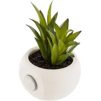 Atmosphera Plante grasse artificielle - NO NAME - 6cm - Gris