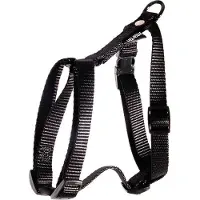 Martin sellier Harnais Nylon Réglable - 35/50 Cm - Noir