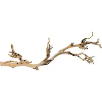 Exo Terra Branche De Forêt