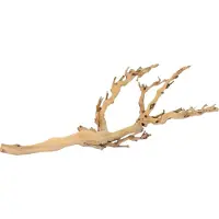 Exo Terra Forest Branch Doré 60 cm