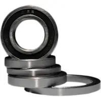 BLACK BEARING Ceramic Bearings Argenté 25 x 37 x 7 mm