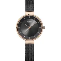 Bering montre Femme 14631-166
