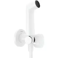 Hansgrohe Bidette Douchette à main 1jet S EcoSmart pour eau chaude avec support de douche et flexibles de