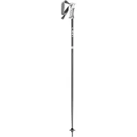 LEKI Bliss Poles Argenté 125 cm
