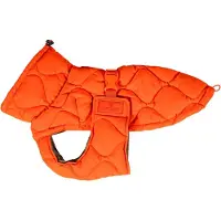 Kentucky Dogwear Manteau d'hiver Pina 160g Orange L/XL