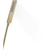 Hansgrohe Pulsify e douchette à main 100 1jet ecosmart bronze brossé 24320140