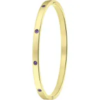 Lucardi Bracelet or / violet foncé