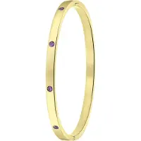 Lucardi Bracelet or / violet
