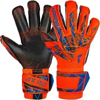 Reusch Gants De Gardien De But Attrakt Gold X Evolution Glueprint