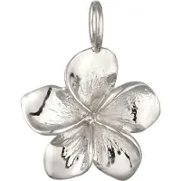Elli Pendentif argent