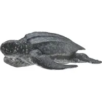 Collecta Simili-cuir grand format